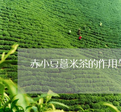 赤小豆薏米茶的作用与功效/2023051156450