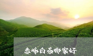 赤峰白茶哪家好/2023061072715