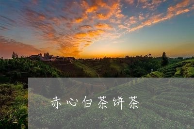 赤心白茶饼茶/2023052493937