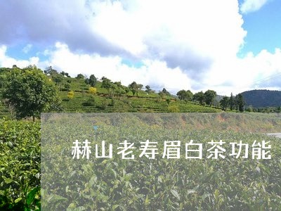 赫山老寿眉白茶功能/2023120462715