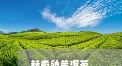 赫章熟普洱茶/2023042739263