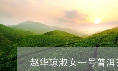 赵华琼淑女一号普洱茶/2023061391715