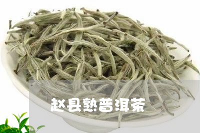 赵县熟普洱茶/2023042681516