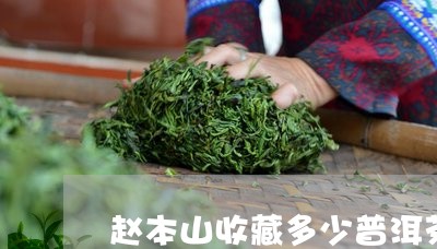 赵本山收藏多少普洱茶了/2023120758593