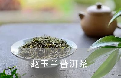 赵玉兰普洱茶/2023081806969