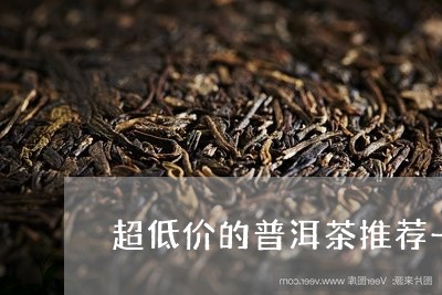 超低价的普洱茶推荐一下/2023083117361