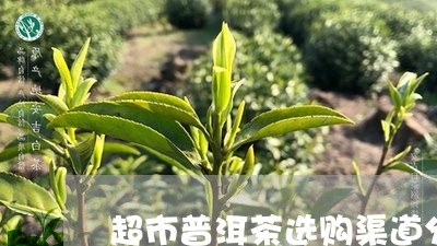 超市普洱茶选购渠道分析/2023121823947