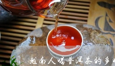 越南人喝普洱茶的多吗/2023121804947