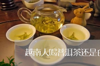 越南人喝普洱茶还是白茶/2023121865261