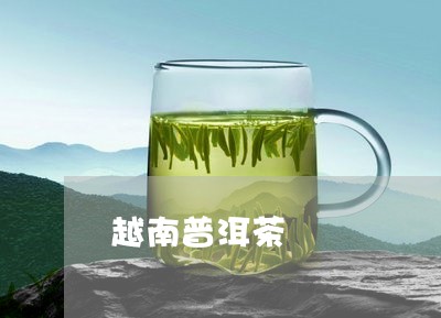 越南普洱茶/2023090680724