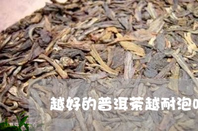 越好的普洱茶越耐泡吗/2023092852057