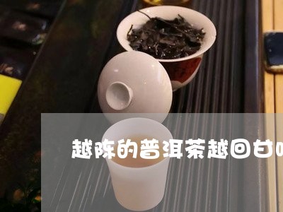 越陈的普洱茶越回甘吗/2023061545169