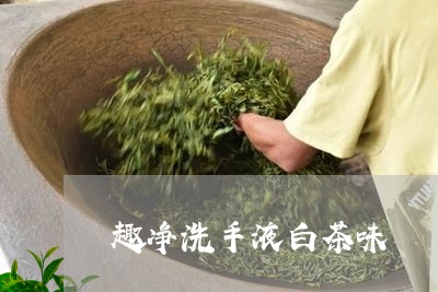 趣净洗手液白茶味/2023071271501