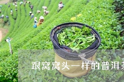 跟窝窝头一样的普洱茶叫啥/2023051199481