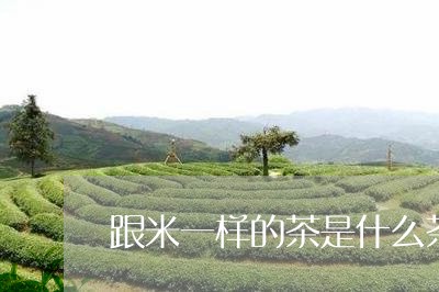 跟米一样的茶是什么茶/2023071414161