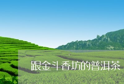 跟金斗香坊的普洱茶/2023071097250