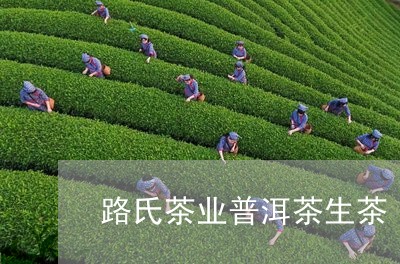 路氏茶业普洱茶生茶/2023101660613