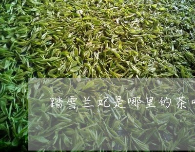 踏雪兰妃是哪里的茶叶/2023092364628