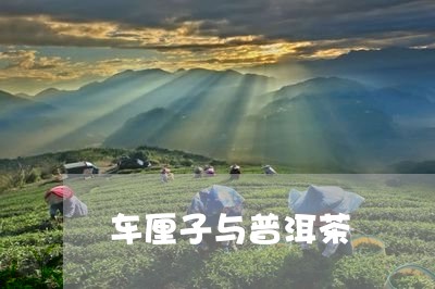 车厘子与普洱茶/2023120369479