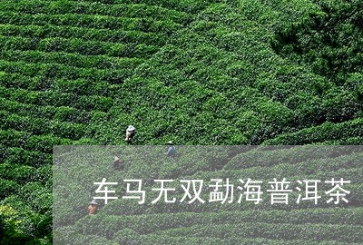 车马无双勐海普洱茶/2023120474048