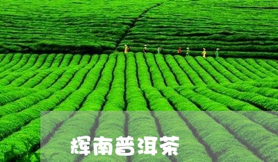 辉南普洱茶/2023090549294