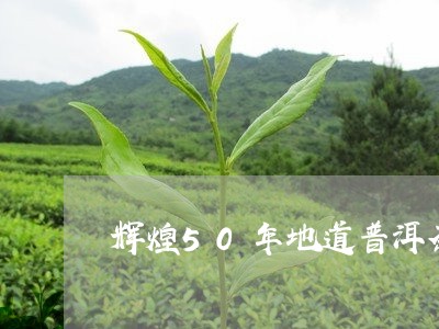 辉煌50年地道普洱茶/2023092926269