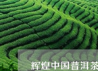 辉煌中国普洱茶价格及图片/2023121874169