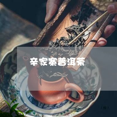 辛家寨普洱茶/2023042943675