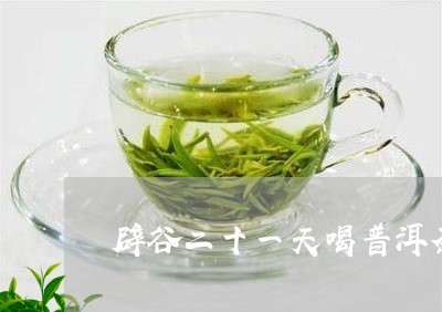 辟谷二十一天喝普洱茶/2023092509495