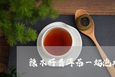 辣木籽普洱茶一起泡水/2023092515069