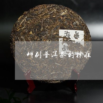 辨别普洱茶的标准/2023110390925