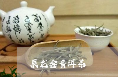 辰龙鑫普洱茶/2023042741930