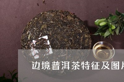 边境普洱茶特征及图片/2023062700392