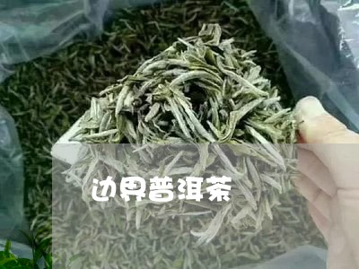 边界普洱茶/2023090661604