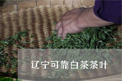 辽宁可靠白茶茶叶/2023071258480