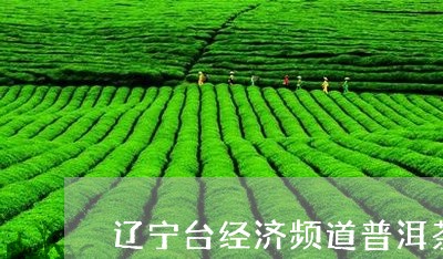 辽宁台经济频道普洱茶/2023080335160