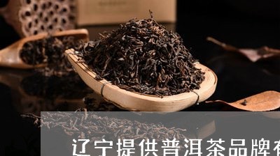 辽宁提供普洱茶品牌有那些/2023121835959