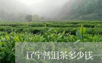 辽宁普洱茶多少钱一斤/2023092643617