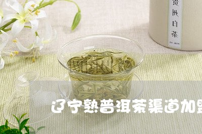 辽宁熟普洱茶渠道加盟/2023092575069