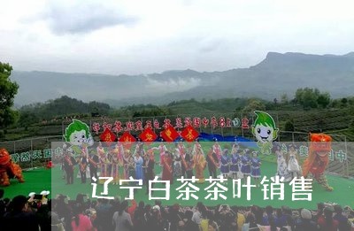 辽宁白茶茶叶销售/2023071250493