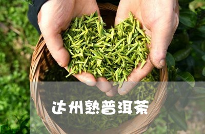 达州熟普洱茶/2023042771108