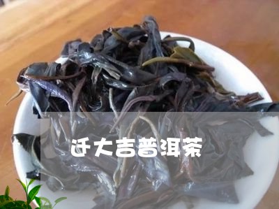 迁大吉普洱茶/2023082838483