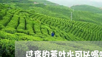 过夜的茶叶水可以喝吗/2023092347592