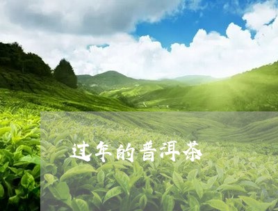 过年的普洱茶/2023042678521