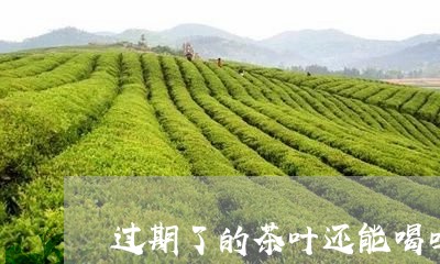 过期了的茶叶还能喝吗/2023092370682