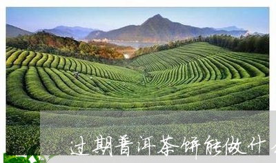 过期普洱茶饼能做什么/2023063009480