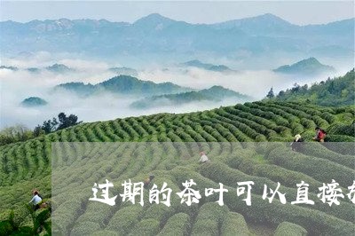 过期的茶叶可以直接放花盆里吗/2023053136250