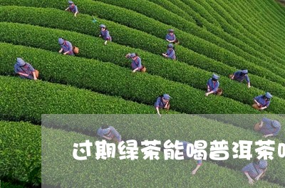 过期绿茶能喝普洱茶吗/2023062397258