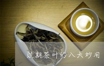 过期茶叶的八大妙用/2023042647159