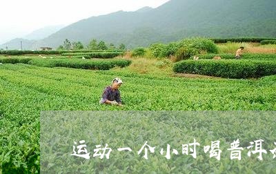 运动一个小时喝普洱茶/2023061654069